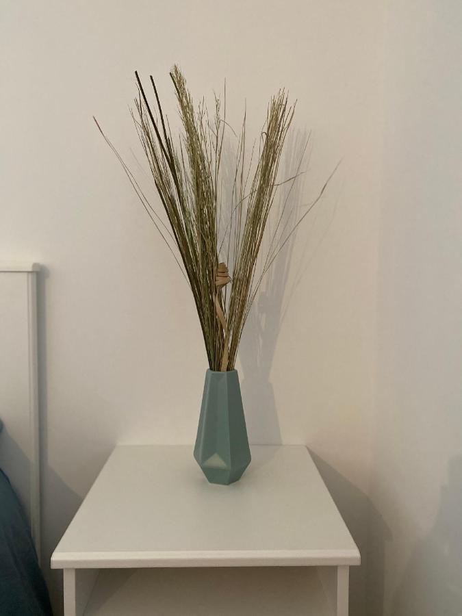 Apartment Cyprien *